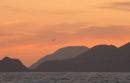 Sicily 55